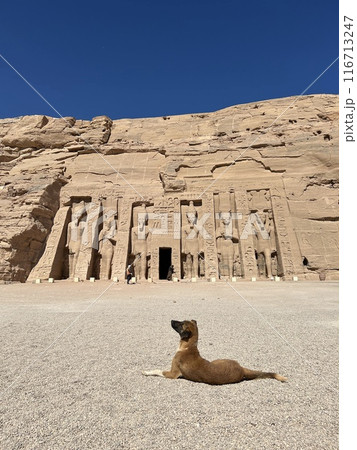アブシンベル神殿の小神殿 116713247