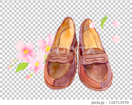 水彩イラスト　ローファーと桜の花 116713470