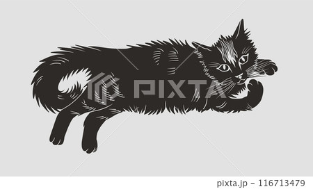 Illustrated Long-Haired Cat in Relaxed Pose, Black Silhouette on White Background 116713479