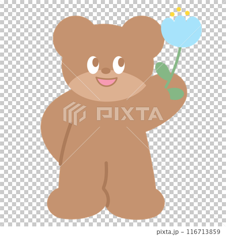 Illustration of teddy bear holding flowers for cartoon character, comic, mascot, animal, sticker, standee, Valentine card, cute patches, brooch, plush toy, kid doll, zoo, souvenir shop, spring, summer 116713859