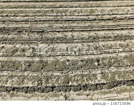 愛媛県西予市　鹿野川ダム　ダム底の風景 116713896