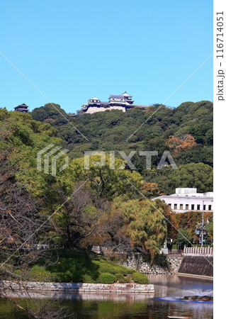 【愛媛県】城山公園から見た秋の松山城と愛媛県庁 116714051