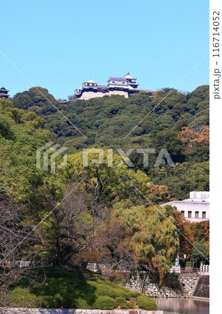 【愛媛県】城山公園から見た秋の松山城と愛媛県庁 116714052
