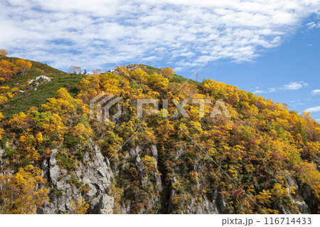 秋のパノラマコース、晴天の日に映える紅葉と屏風ノ耳の絶景 秋のパノラマコース、晴天の日に映える紅葉と屏風ノ耳の絶景 116714433