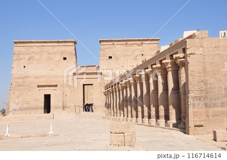 アスワンのフィラエ神殿 アスワンのフィラエ神殿 116714614