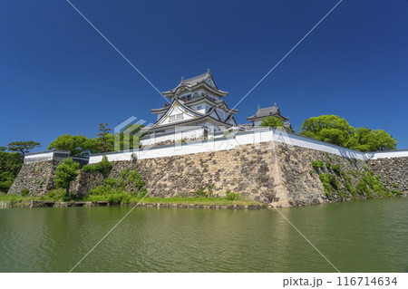 大阪 初夏の岸和田城 大阪 初夏の岸和田城 116714634