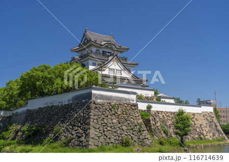 大阪 初夏の岸和田城 大阪 初夏の岸和田城 116714639