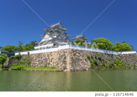 大阪　初夏の岸和田城 116714646