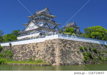 大阪　初夏の岸和田城 116714647