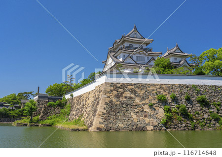 大阪　初夏の岸和田城 116714648