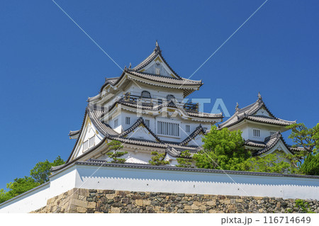大阪　初夏の岸和田城 116714649
