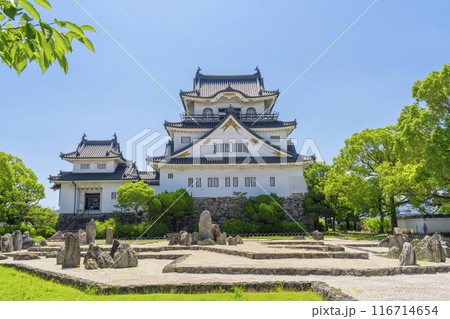 大阪 初夏の岸和田城 八陣の庭 大阪 初夏の岸和田城 八陣の庭 116714654