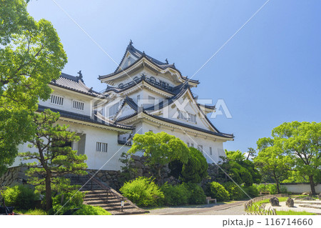 大阪 初夏の岸和田城 八陣の庭 大阪 初夏の岸和田城 八陣の庭 116714660