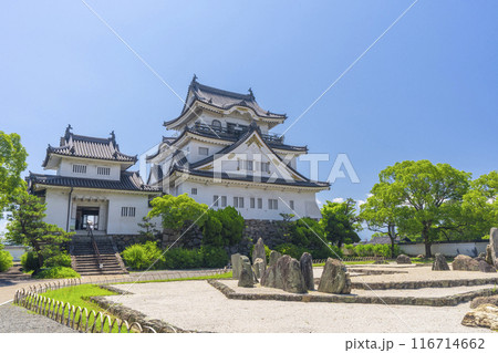 大阪 初夏の岸和田城 八陣の庭 大阪 初夏の岸和田城 八陣の庭 116714662