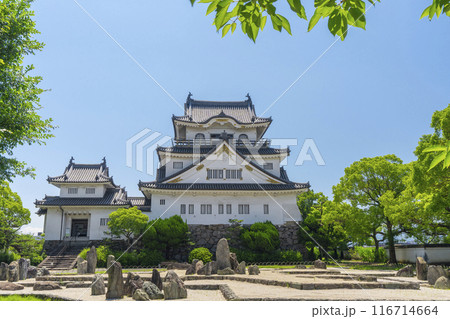 大阪　初夏の岸和田城　八陣の庭 116714664