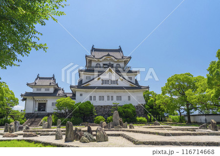 大阪　初夏の岸和田城　八陣の庭 116714668