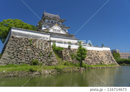 大阪　初夏の岸和田城 116714673