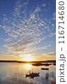 ナイル川の夕日 116714680