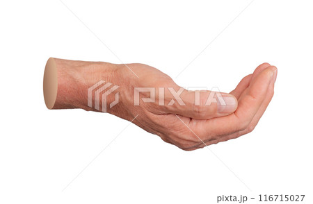 cup shaped hand gesture, holding space isolated on white background cup shaped hand gesture, holding space isolated on white background 116715027