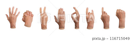 Different hand gestures set. Hi sign, victory, horns, intertwined fingers, okay, pointing, fist Different hand gestures set. Hi sign, victory, horns, intertwined fingers, okay, pointing, fist 116715049