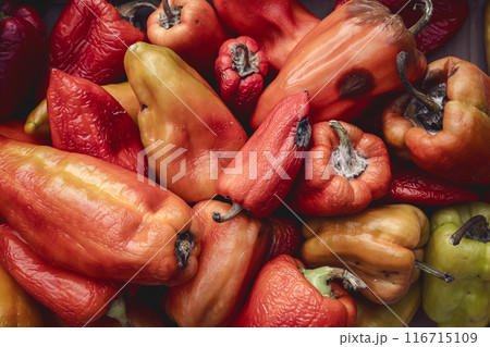 Rotting vegetables and food - Bulgarian sweet pepper background, which began to rot and deteriorate. the problem of keeping food fresh Rotting vegetables and food - Bulgarian sweet pepper background, which began to rot and deteriorate. the problem of keeping food fresh 116715109