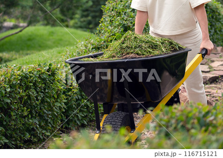 A woman gardens in a lush garden with a wheelbarrow, promoting wellbeing and nature connection A woman gardens in a lush garden with a wheelbarrow, promoting wellbeing and nature connection 116715121