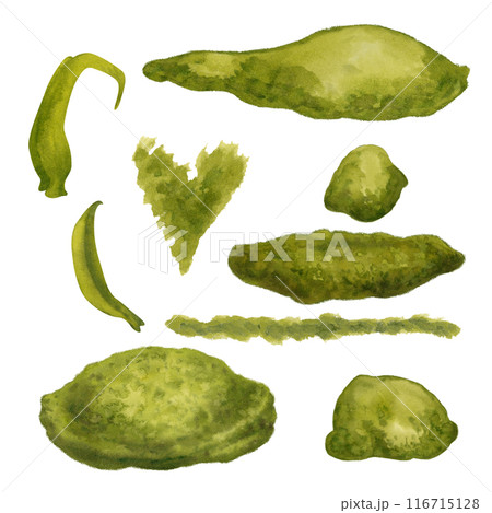 Set of fresh spring and summer green grass in a small clearing on a meadow. Watercolor illustration, hand drawn isolated on white background for template for harvest day, wedding, Easter, mother's day 116715128