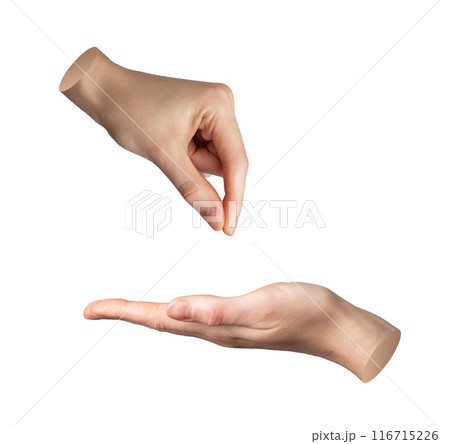 Hand giving to other, another who taking, begging isolated on white background Hand giving to other, another who taking, begging isolated on white background 116715226