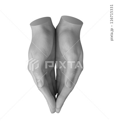 Both hands together holding something little invisible, caring gesture, sign isolated on white 116715331