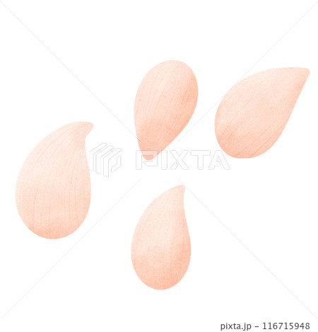 Seeds, cultivated seeds, strawberry seeds 116715948