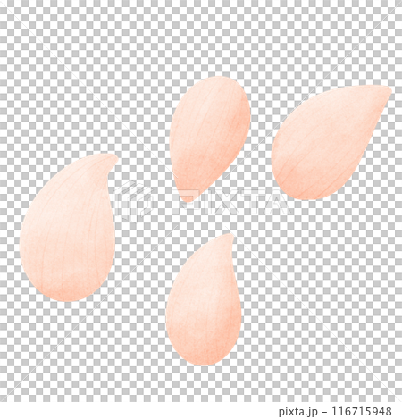 Seeds, cultivated seeds, strawberry seeds Seeds, cultivated seeds, strawberry seeds 116715948