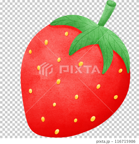 Strawberry fruit has leaves on top, translucent background. Strawberry fruit has leaves on top, translucent background. 116715986
