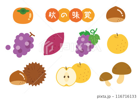 秋の味覚のイラストセット　果物 116716133