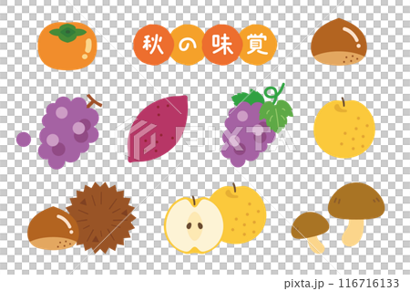 秋の味覚のイラストセット　果物 116716133