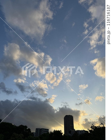シルエットの街並みと夕暮れ時の空 116716187