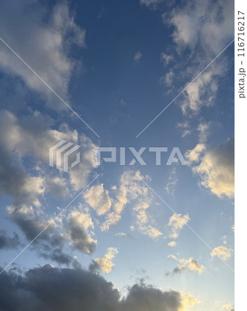 夕日に照らされる雲 116716217