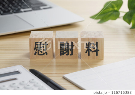 慰謝料と書かれた積み木のブロック 116716388