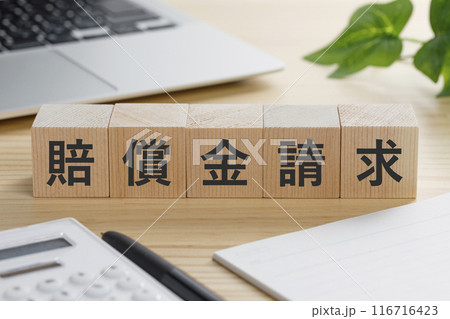 賠償金請求と書かれた積み木のブロック 賠償金請求と書かれた積み木のブロック 116716423