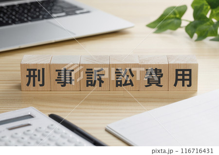刑事訴訟費用と書かれた積み木のブロック 刑事訴訟費用と書かれた積み木のブロック 116716431