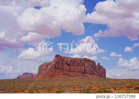 モニュメントバレーのメサ 116717390