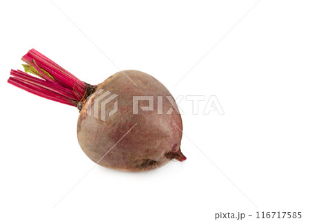 beetroot (beet root) isolated on white background. Free space for text. 116717585