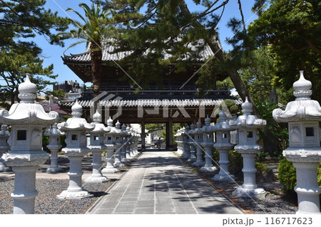 晴天の誕生寺 千葉 晴天の誕生寺 千葉 116717623