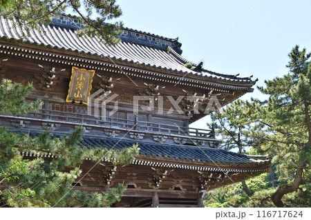 晴天の誕生寺 千葉 晴天の誕生寺 千葉 116717624