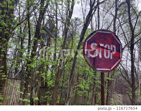 チェルノブイリ村のストップサイン 116717654