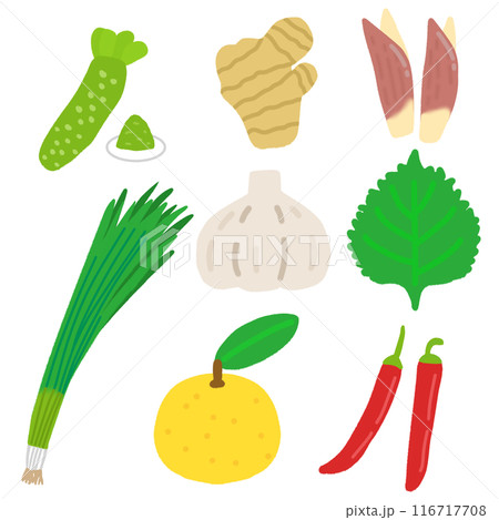いろいろな野菜（薬味）のイラストセット 116717708