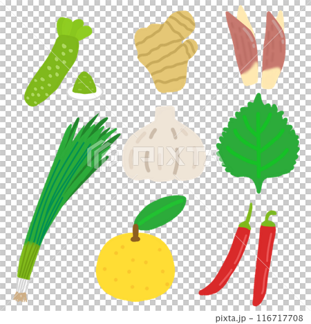 いろいろな野菜（薬味）のイラストセット 116717708