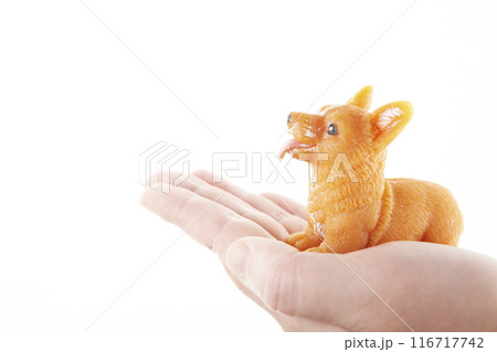 image of toy dog hand image of toy dog hand 116717742