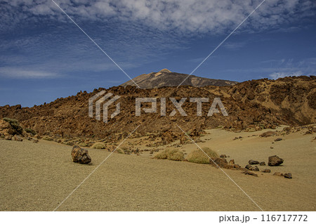 The Teide volcano in the background and its surroundings. Tenerife Canary Islands Spain The Teide volcano in the background and its surroundings. Tenerife Canary Islands Spain 116717772