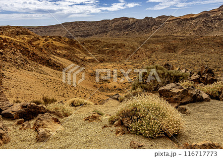 Landscape of the Teide National Park. Tenerife Canary Islands Spain 116717773
