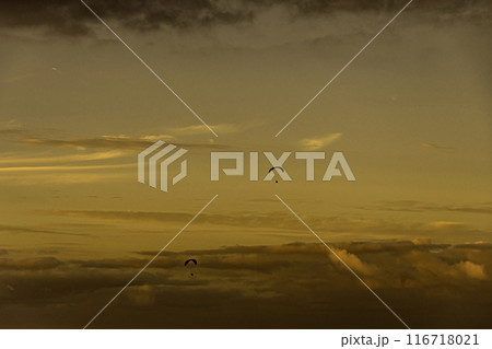 Paragliding flight at sunset island Canary  Spain 116718021